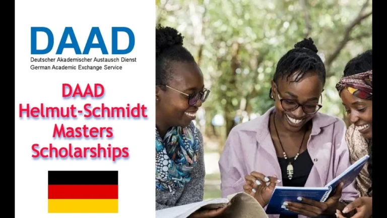 DAAD Helmut-Schmidt Scholarship